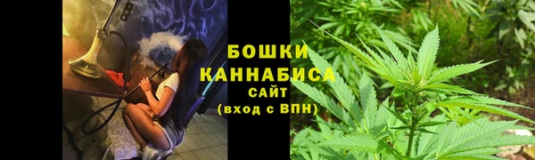 мдпв Кулебаки