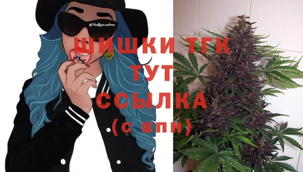 мдпв Кулебаки