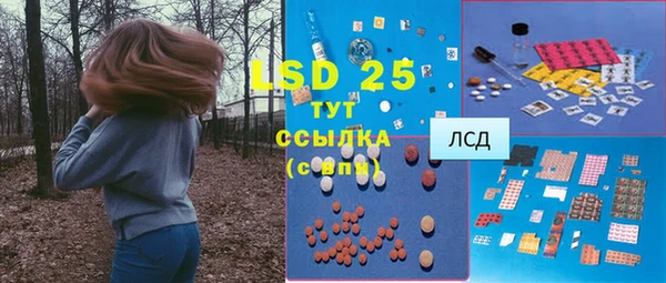 мдпв Кулебаки