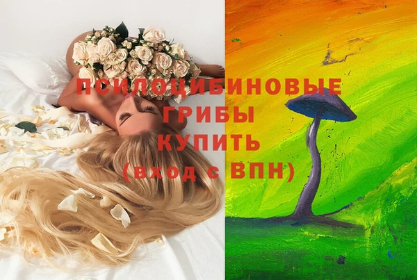 мдпв Кулебаки