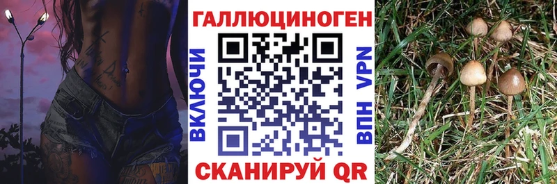 Купить  Кущёвская  Галлюциногенные грибы GOLDEN TEACHER 