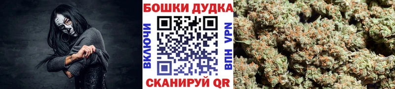 Шишки марихуана ГИДРОПОН Купить где Кущёвская